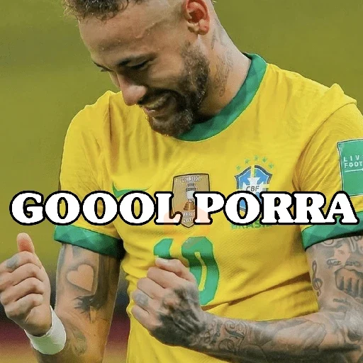 memes copa 🇧🇷 sticker 22