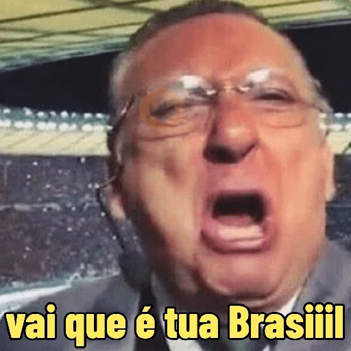 memes copa 🇧🇷 sticker 14