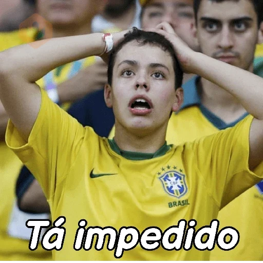 memes copa 🇧🇷 sticker 18