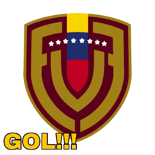 COPA AMÉRICA USA 2024 
