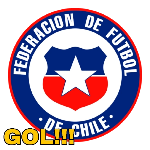 COPA AMÉRICA USA 2024 
