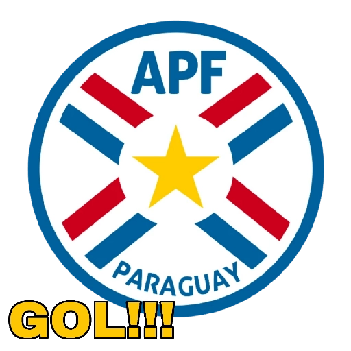COPA AMÉRICA USA 2024 
