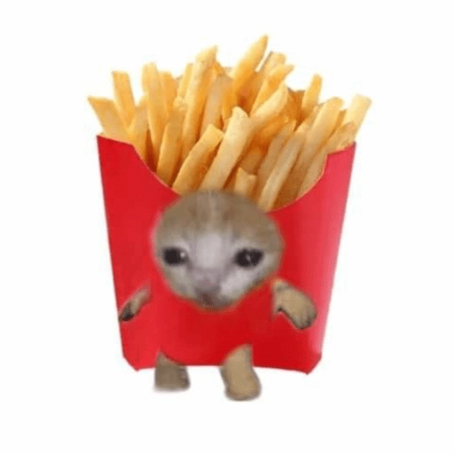 Stickers de Gato comida😾🍔 
