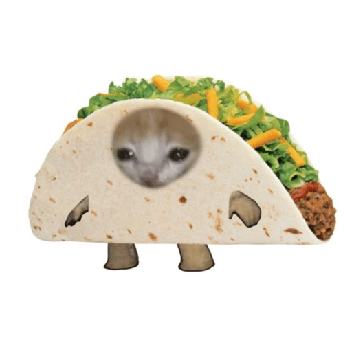 Stickers de Gato comida😾🍔 
