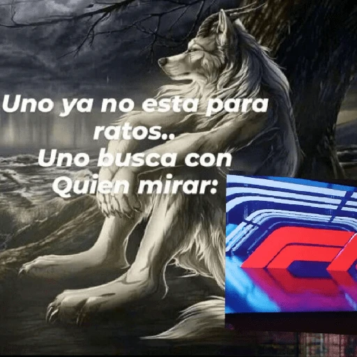 🏁🏎️ Viendo la F1 be like: