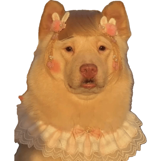 La Rosalía  
