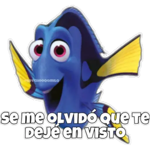 Dory olvidadiza 