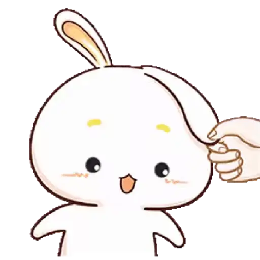 kelinci gemoy 
