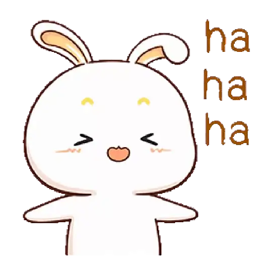kelinci gemoy 
