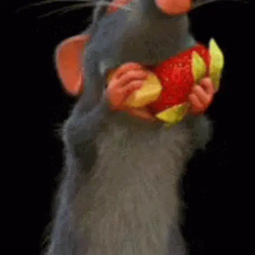 Ratatouille GIFs 
