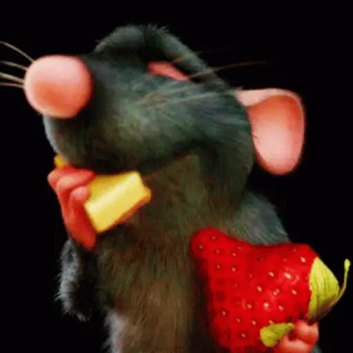 Ratatouille GIFs 
