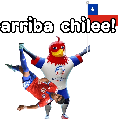 🏆 Copa América 2024 ⚽memes ✨ 
