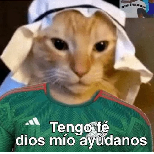 🏆 Copa América 2024 ⚽memes ✨ 
