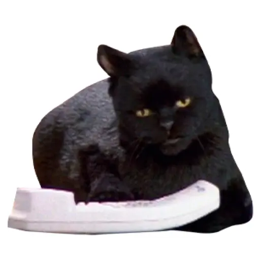 Salem Saberhagen (Sabrina the Teenage Witch)