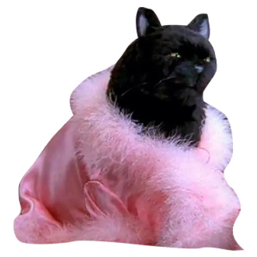 Salem Saberhagen (Sabrina the Teenage Witch)