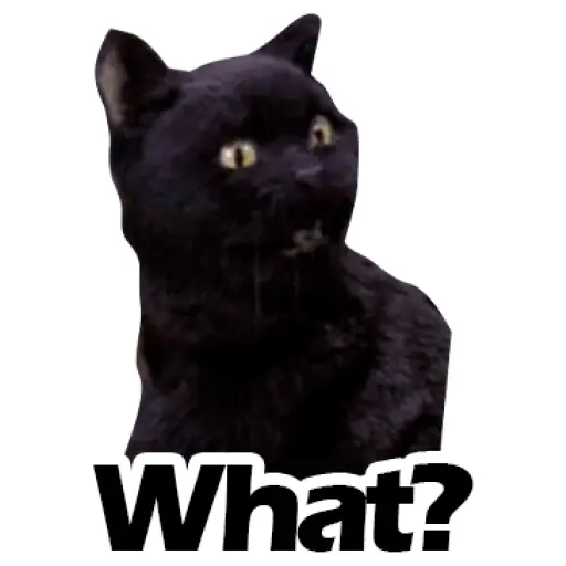 Salem Saberhagen (Sabrina the Teenage Witch)