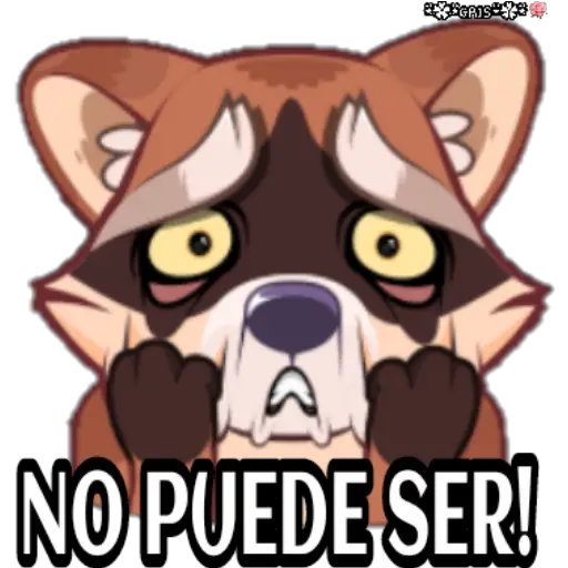 Marvin el mapache 