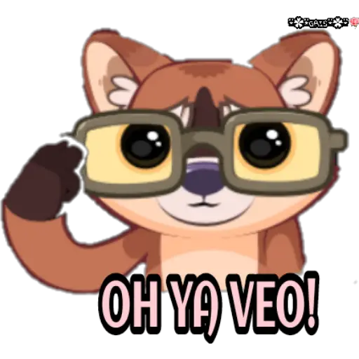 Marvin el mapache 