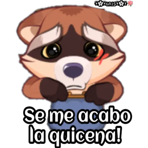 Marvin el mapache 