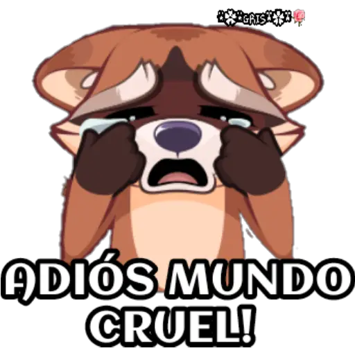 Marvin el mapache  preview