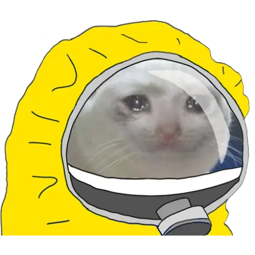 Quarantined Memes