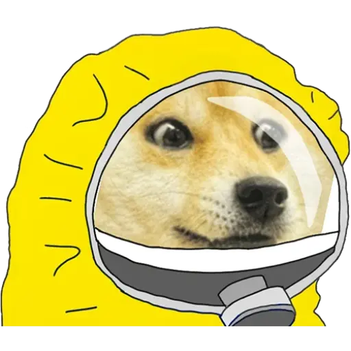 Quarantined Memes