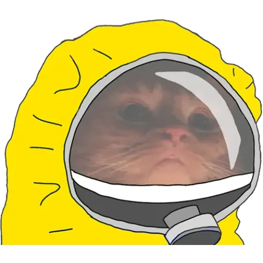 Quarantined Memes