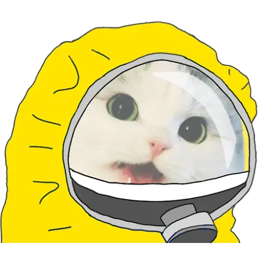 Quarantined Memes