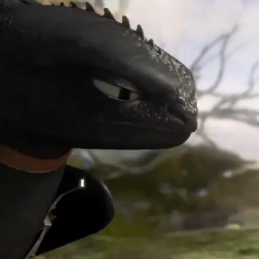 Chimuelo Dragon