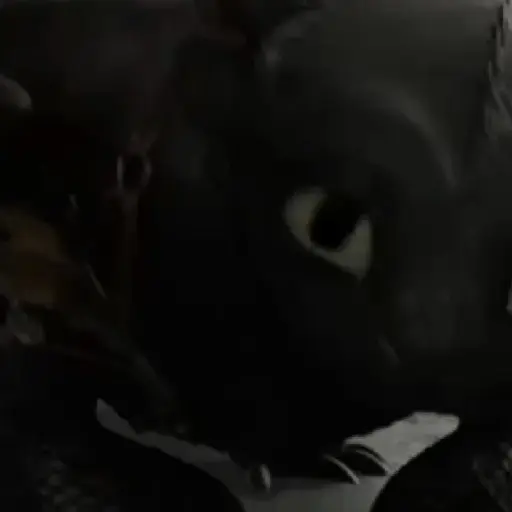 Chimuelo Dragon preview