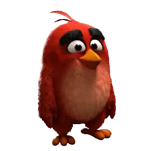 Meme Angry Birds 
 preview