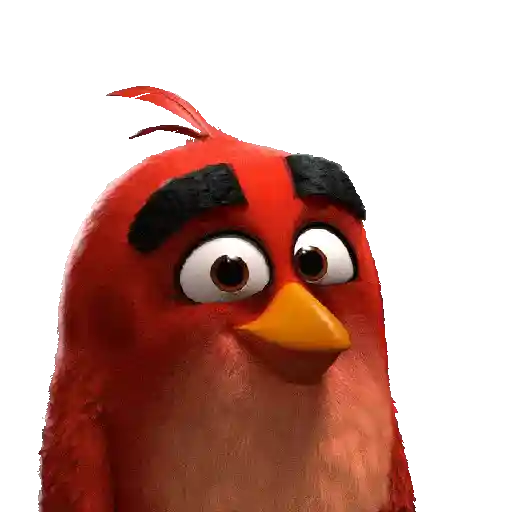 Meme Angry Birds 
