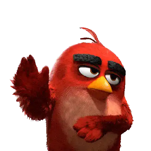 Meme Angry Birds 
