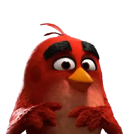 Meme Angry Birds 
