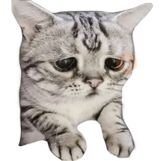 Gatos 🐱 sticker 25