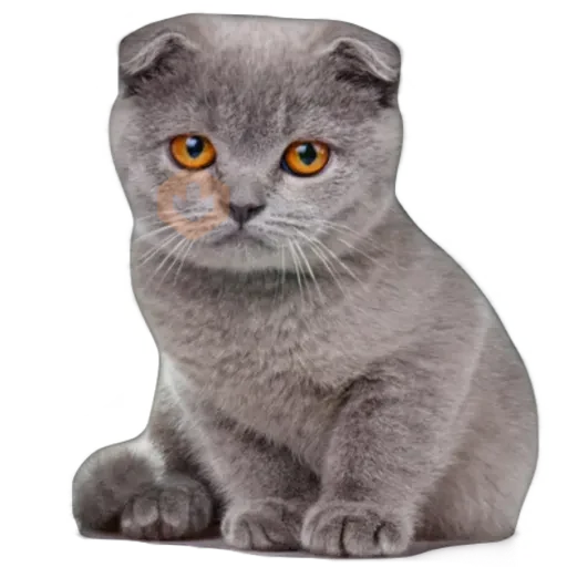 Gatos 🐱 sticker 18