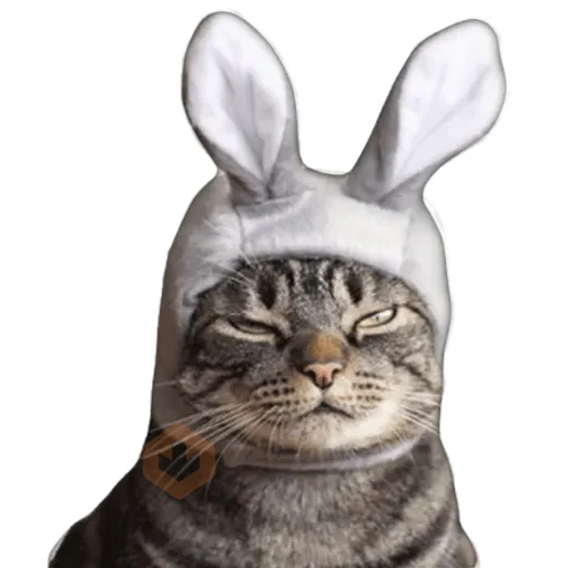 Gatos 🐱 sticker 12
