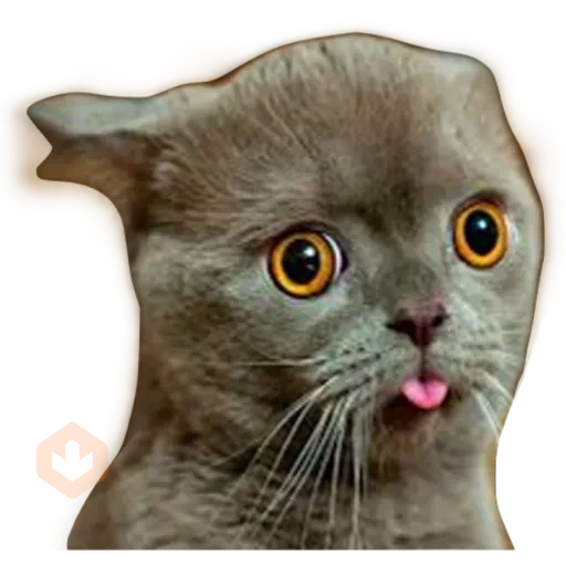 Gatos 🐱 sticker 15