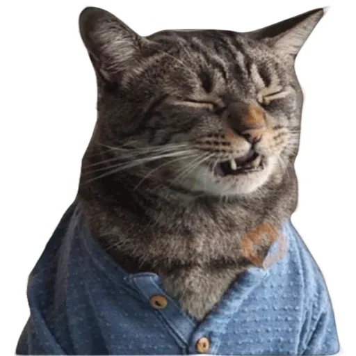 Gatos 🐱 sticker 17