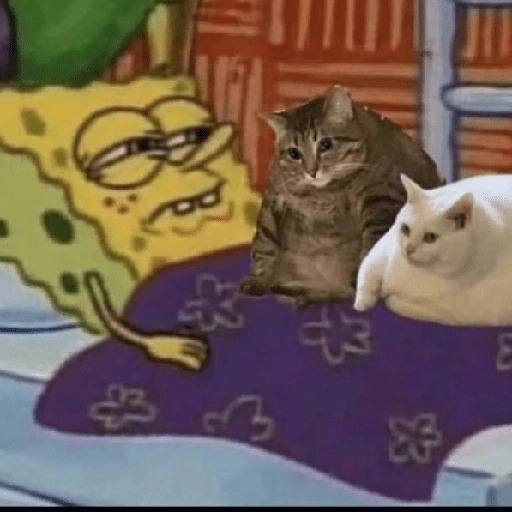 ANIMALITOS 🌟🥹
