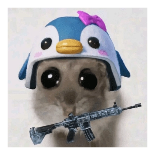 ANIMALITOS 🌟🥹
