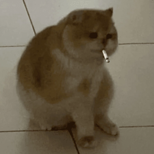ANIMALITOS 🌟🥹
