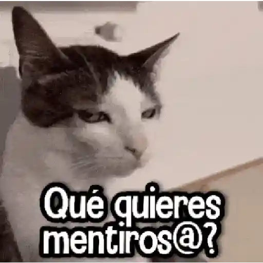 Randoms pa' enviar 1 preview