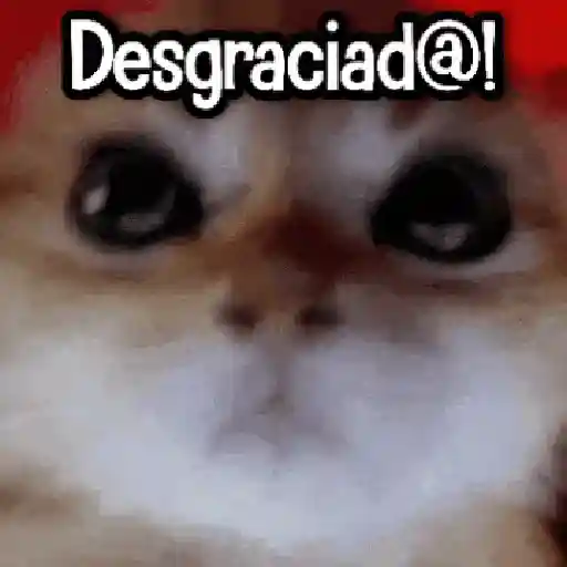 Randoms pa' enviar 1