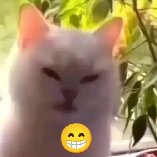 🔥 TIKTOK ✨R.Viral #5💥
