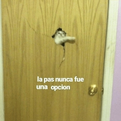 🤬Stickers Pa pelear 🥊💢
