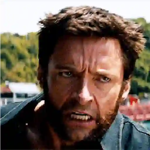 Wolverine🔝Logan
