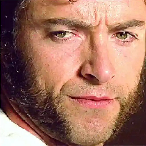 Wolverine🔝Logan
 preview