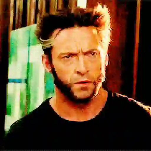 Wolverine🔝Logan
