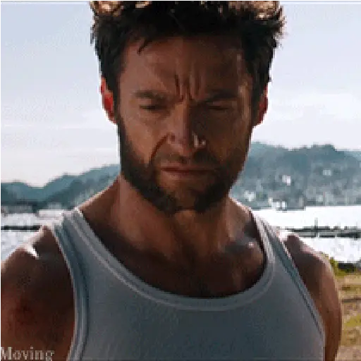 Wolverine🔝Logan
